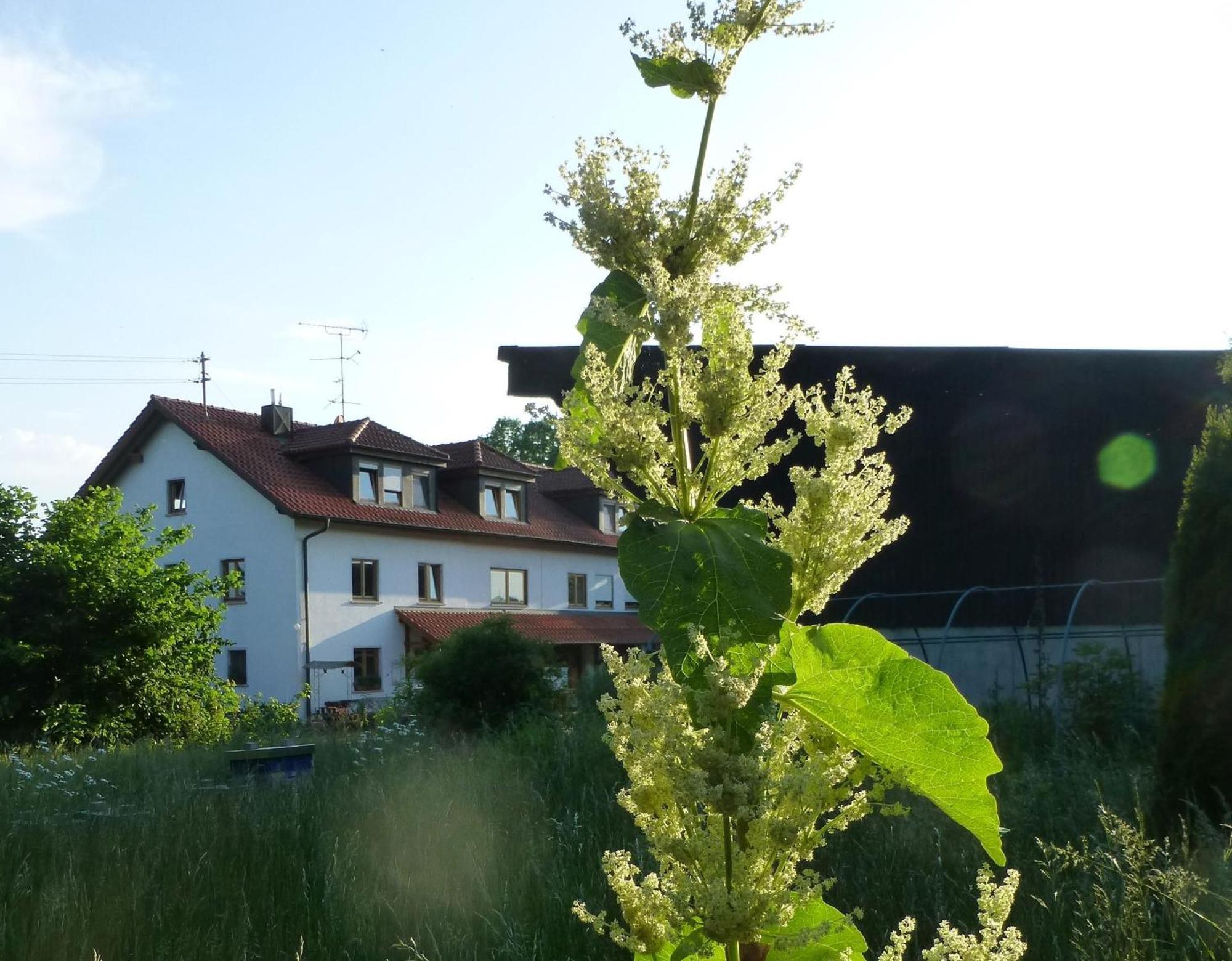 Moorwiesenhof Ostrach Kültér fotó